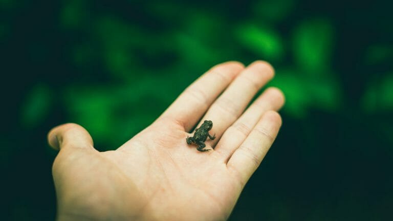 Focus on small thing